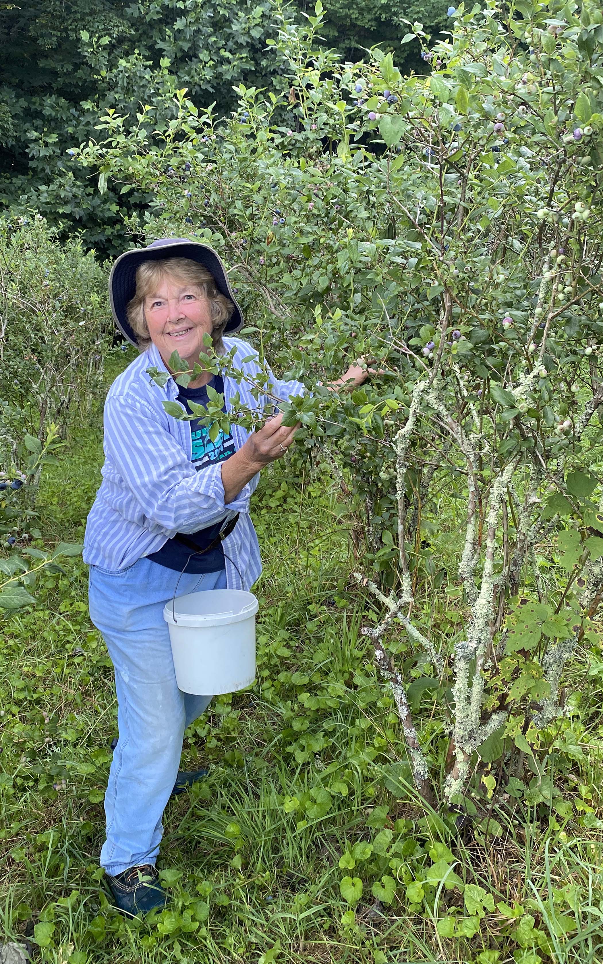 Lynda Skelton of Rogersville, Tennessee smiles as she picks blueberries Monday, July 13 during the season-opening day at Blueberry Heaven of Bakersville. (Submitted photo)