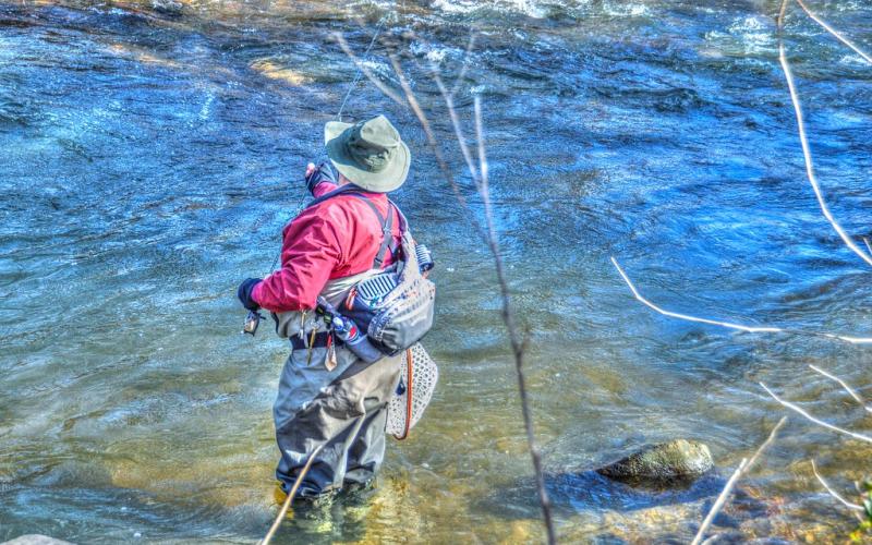 Trout fishing