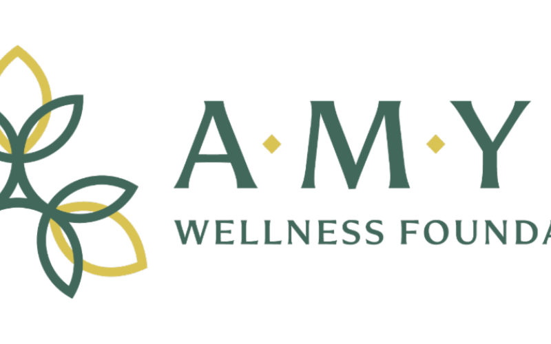 AMY Wellness logo