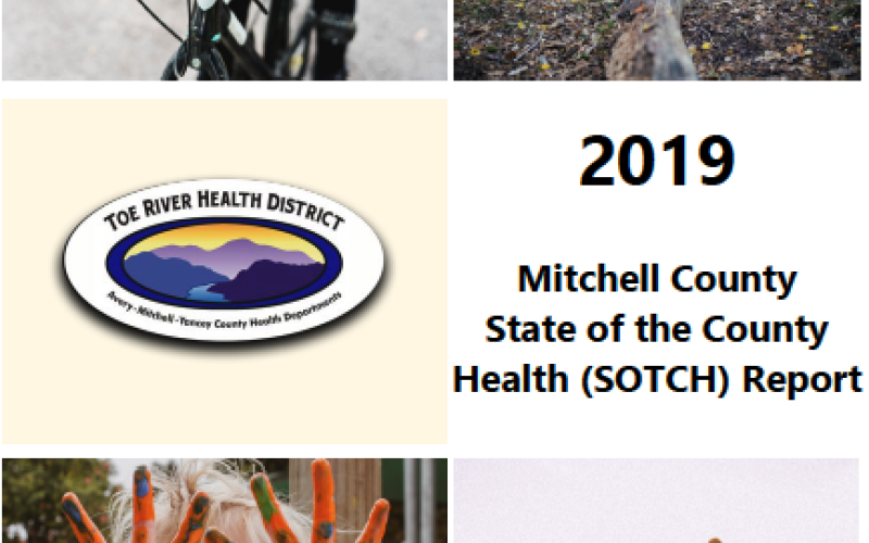 Health Report Cover