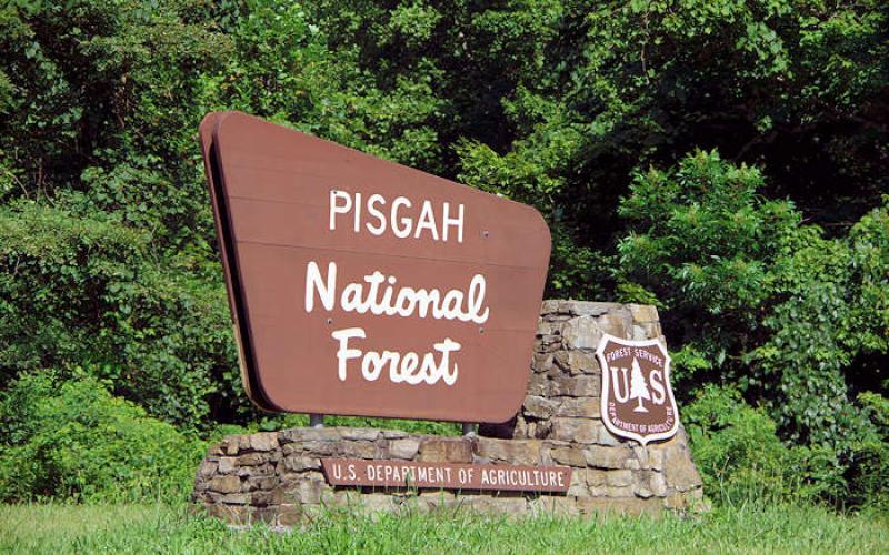 Pisgah National Forest