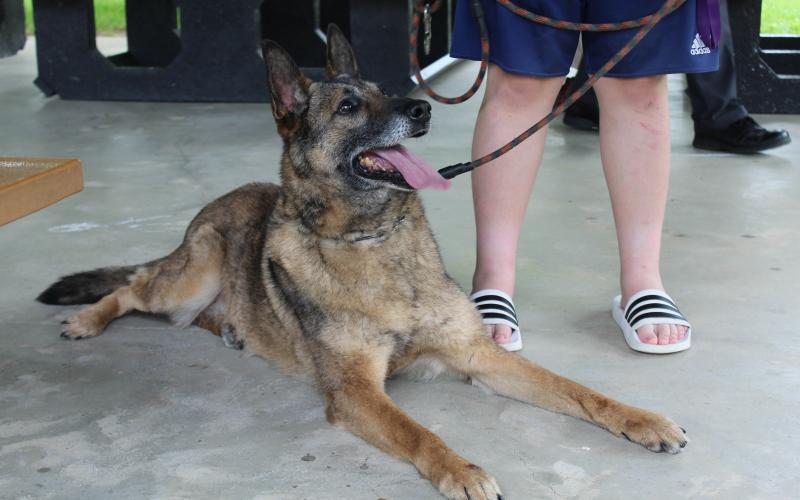 Oscar the K-9 Dog