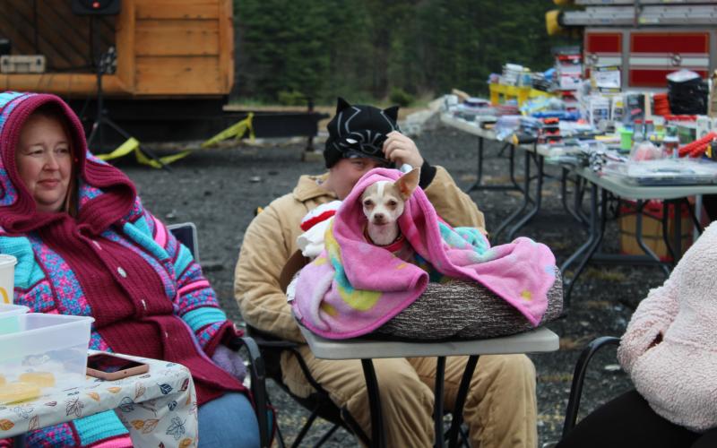 A vendor's dog snuggles up in a blanket at the Remember When Day festival on Oct. 31. The weather conditions were chilly and windy, but vendors stayed warm in coats and with heaters.(MNJ Photo/Juliana Walker)