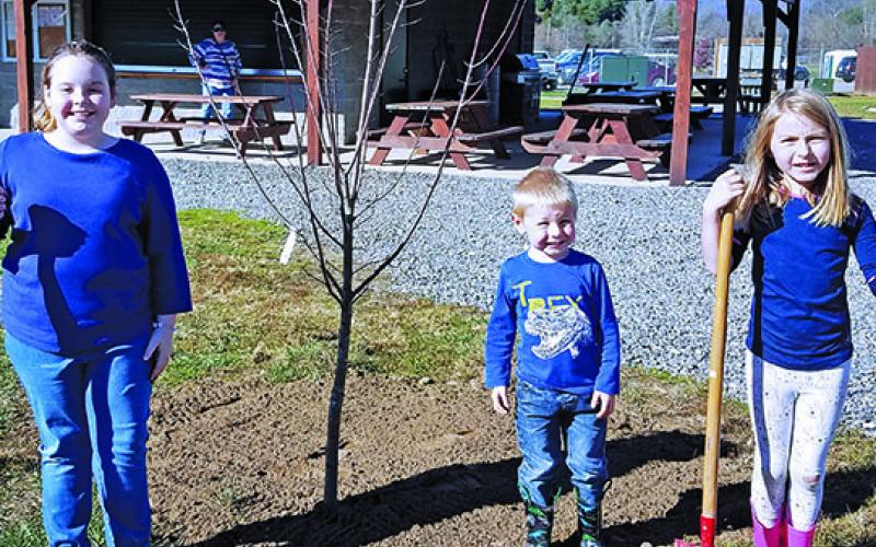 Cub Scouts from Spruce Pine Pack 505, along with help from Burnsville Pack 502, planted trees at Cane River Park in Yancey County this past month. Trees were donated by Jeff Harding. Pictured from left to right is Kaylee Morgan, Charlie D’Elia and Louise D’Elia. (Photo courtesy of Spruce Pine Pack 505)