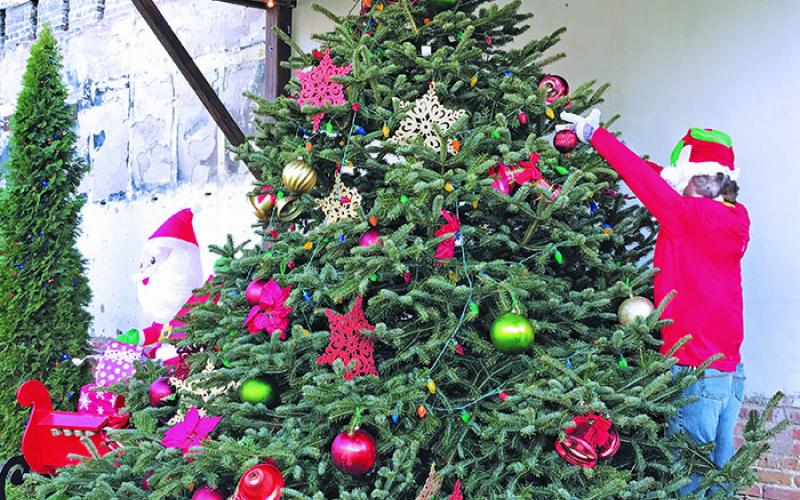 The large Christmas tree in Spruce Pine Central Park sits decorated on Monday, Nov. 30. A live tree lighting was part of virtual Small Business Saturday. (MNJ photo/Cory Spiers)