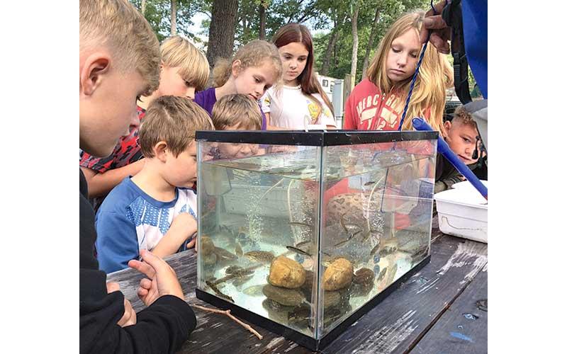 Submitted photo - Students get a close up view of shinners, darters, sculpin, stone rollers, chubs, trout, and bass.