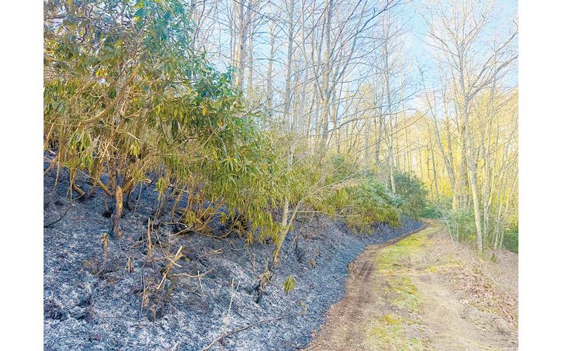 Submitted photo.  As of Monday, the most significant ongoing forest fire in Western North Carolina was the Cole Gap Fire, which was 80 percent contained at the time.