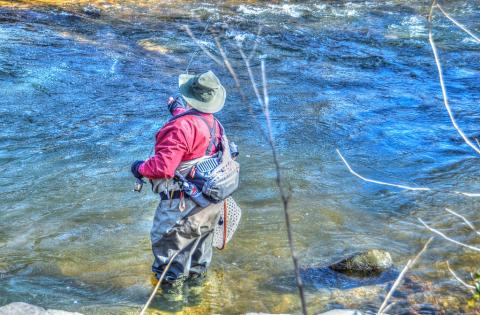 Trout fishing