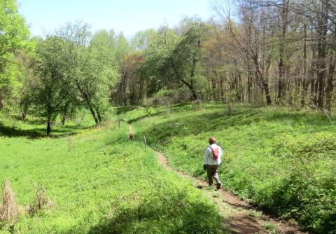AT Hiking Photo