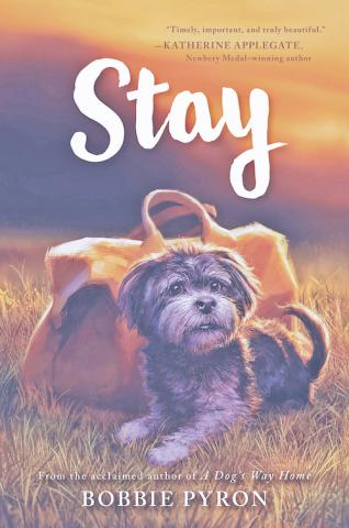 Stay cover