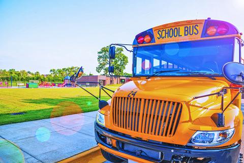 Bus