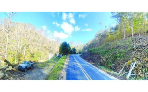 Photo/ Steven McCann.  Panoramic shot showing downed timber on left and standing timber on right on Beans Creek Road.