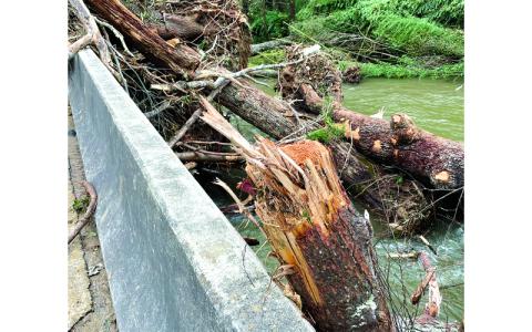 MNJ Photo/Mariel Williams.  Flooding from Hurricane Helene (downgraded to a tropical storm) left Western North Carolina rivers and creeks filled with debris, which could cause additional flooding in the future. This photo was taken Sept. 28 on the South Toe River in Yancey County.
