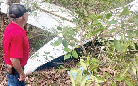 MNJ Photo/Mariel Williams.  Mitchell County resident Alex Glover examines the wreckage of a glider that crashed overlooking McKinney Mine Road recently.