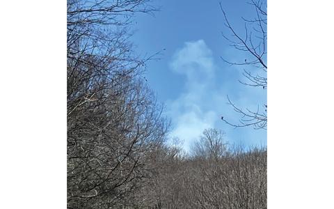 MNJ Photo/Mariel Williams.  Smoke rises over the hills behind Poplar. A forest fire has been burning in the area along the Tennessee border for more than a week.