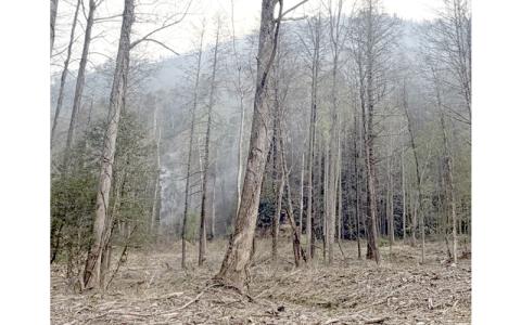 Photo courtesy of Allyson Pokrzywinski.  Light smoke rises from the mostly-controlled Jumping Branch Fire in McDowell County.
