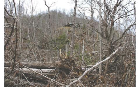 File photo. Mitchell County lost nearly 50 percent of its trees to Hurricane Helene, increasing the fire danger of the current drought.