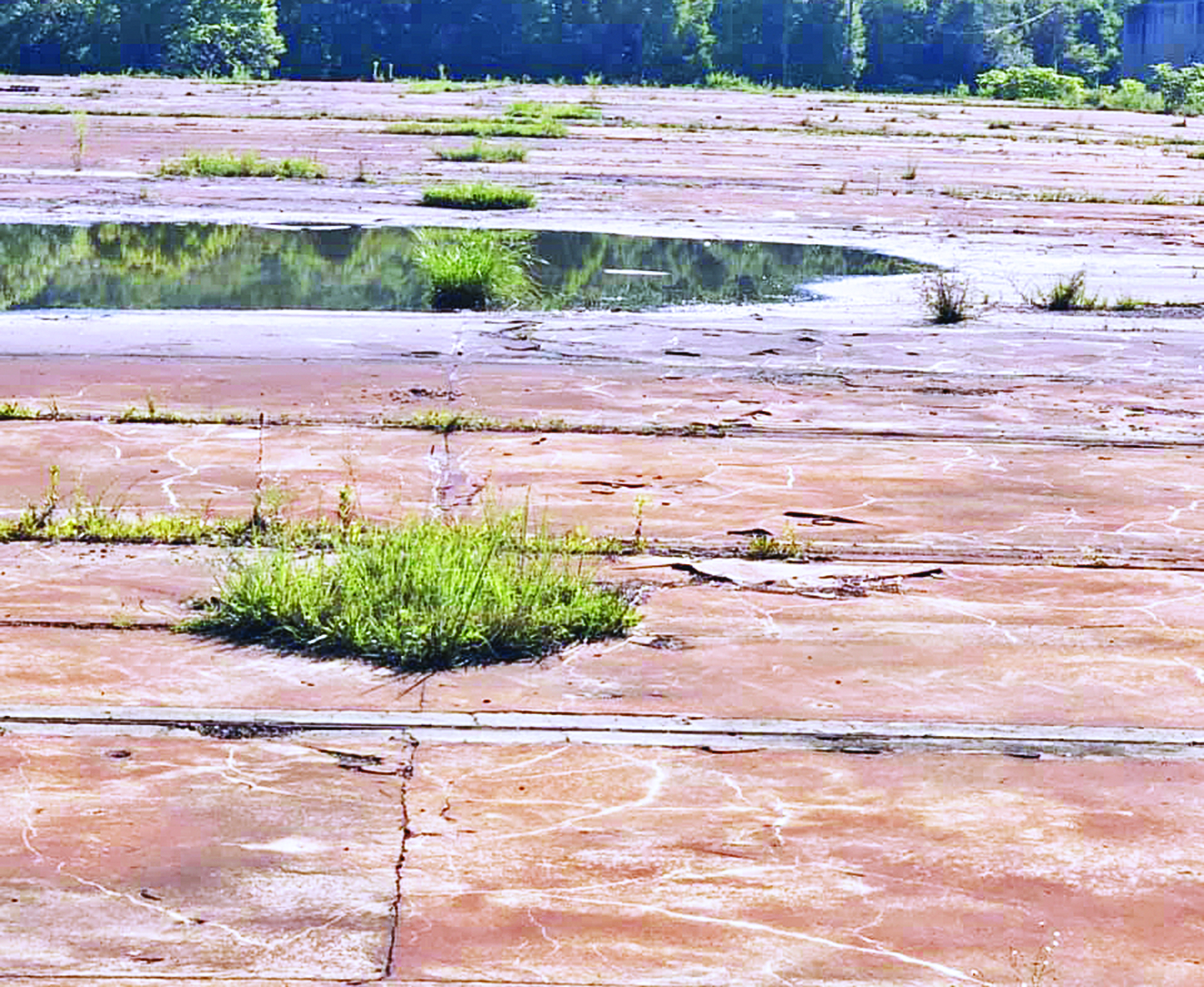 Mitchell County received a $97,500 grant to assist in the demolition and removal of 250,000 square-foot damaged and cracked concrete slab from the former Henredon manufacturing plant site. (Submitted)