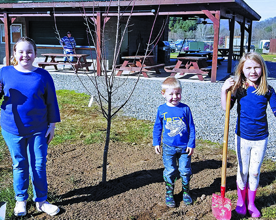 Cub Scouts from Spruce Pine Pack 505, along with help from Burnsville Pack 502, planted trees at Cane River Park in Yancey County this past month. Trees were donated by Jeff Harding. Pictured from left to right is Kaylee Morgan, Charlie D’Elia and Louise D’Elia. (Photo courtesy of Spruce Pine Pack 505)