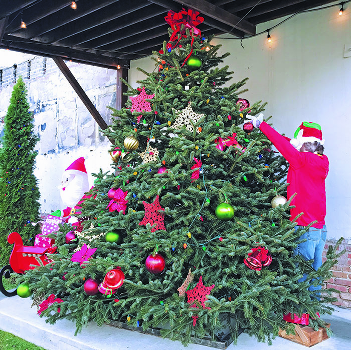 The large Christmas tree in Spruce Pine Central Park sits decorated on Monday, Nov. 30. A live tree lighting was part of virtual Small Business Saturday. (MNJ photo/Cory Spiers)